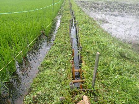 7月9日（火）　田の畔の草刈り、東側