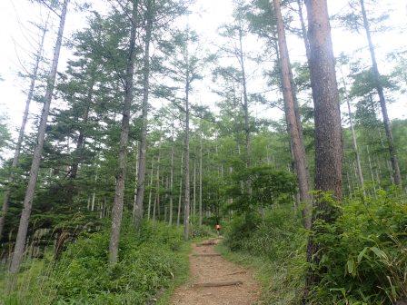 8:35　広々とした山道を行く