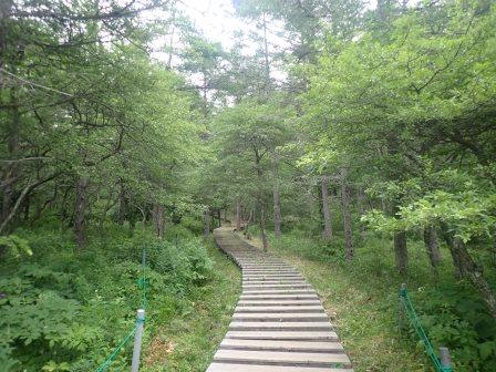 9:48　野草園に向かう、入笠湿原の木道