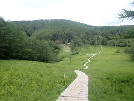 10:34　すずらん群生地上部からの湿原の眺め