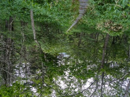 13:25　四角の敷石の山道を行く