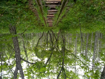 13:28　木の側溝も付いた木の階段