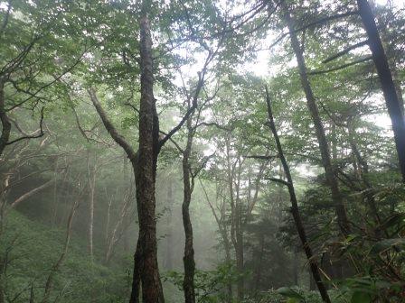 9:22　松林図屏風の世界