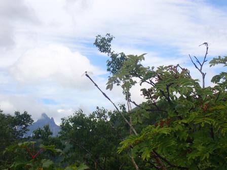 10:09　樹間に槍と小槍