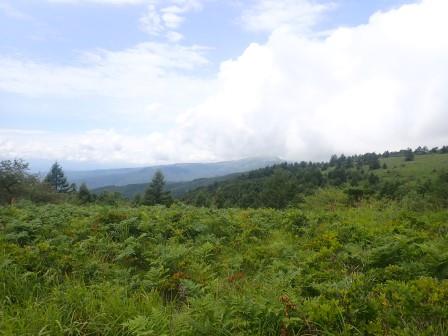 12:03　蓼科温泉への道に寄道