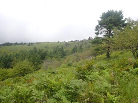 12:13　八子ヶ峰の稜線とヒュッテアルビレオ