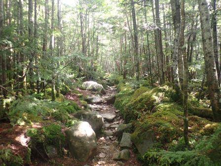 11:06　木漏れ日が差してきた