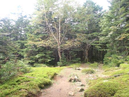 11:23　ここが開けた場所