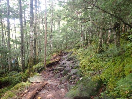 12:49　唐沢鉱泉への最後のアプローチは苔の回廊を行く趣
