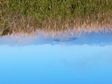 8:47　薄の原に穂高、槍ヶ岳、常念岳