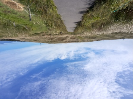 10:15　強清水から霧鐘塔への道は舗装されている