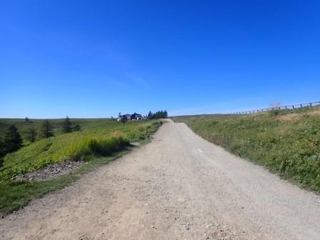 9:49　牛が放牧された高原を行く