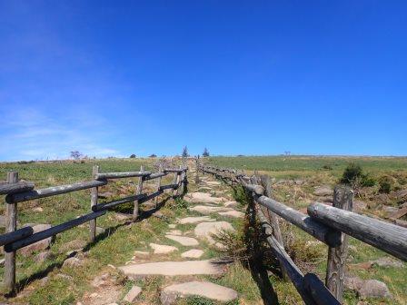 12:59　牛臥山の登山路