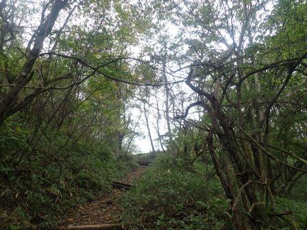 8:29　間もなく東屋