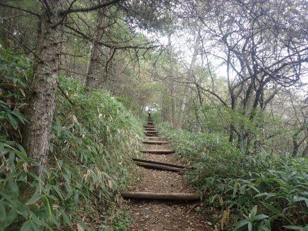8:35　鹿除けのフェンスを越えて、木の階段を行く
