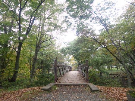 橋の先が水の里公園