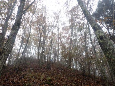 10:37　霧の中を登って行く