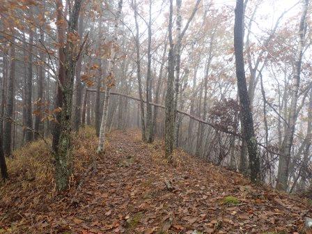 10:41　天狗山県自然環境保護地域の標識。雨がパラつきだす