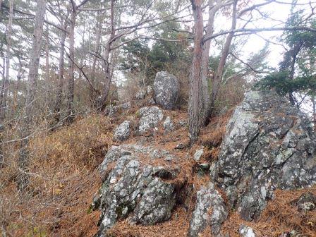 10:53　岩場が出てきて、アップダウンを繰り返しながら徐々に登って行く