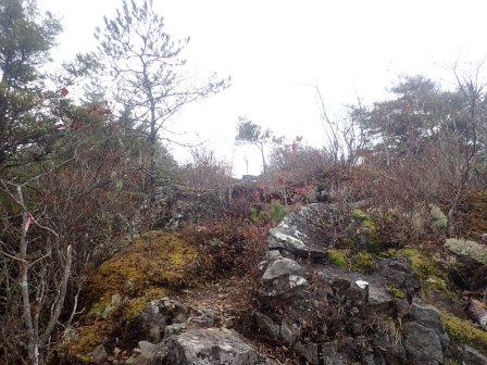 11:39　間もなく天狗山山頂