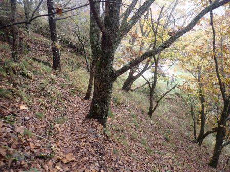 13:29　間もなく下山