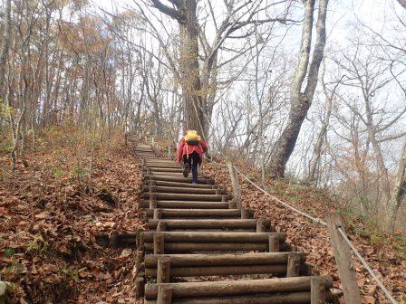 9:49　先ずは滝から木の階段を上って行くこととなる