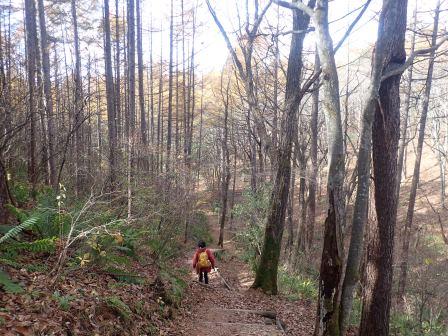 10:13　途中一か所だけ、下りて上る谷の様な個所がある、ここは下り