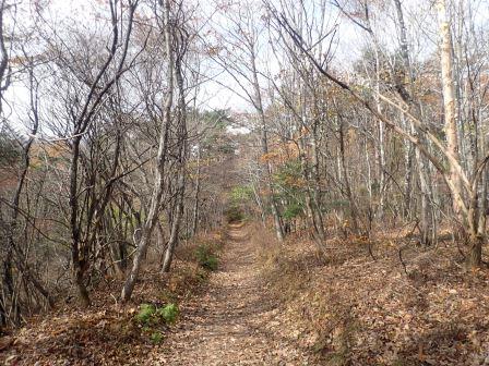 11:01　小浅間山登山道に入る