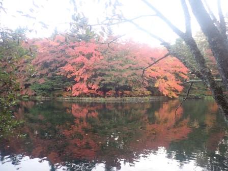 7:10　雲場池　１