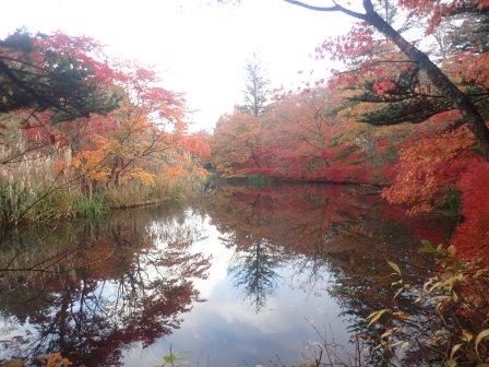 7:14　雲場池　２