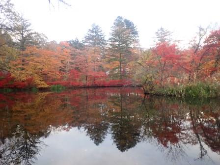 7:24　雲場池　３