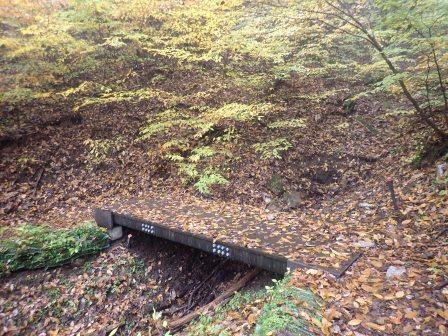 11:38　所々に立派な橋が渡されていた