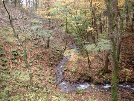 11:53　眼下に沢