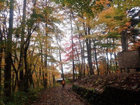 11:56　周りには豪壮な別荘