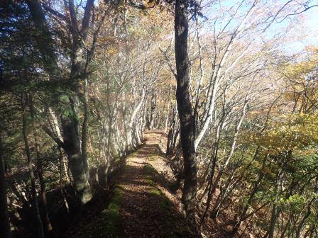 8:59　黄葉の回廊を行く趣　１