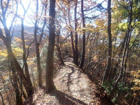 9:05　黄葉の回廊を行く趣　２