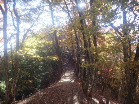 9:07　黄葉の回廊を行く趣　３