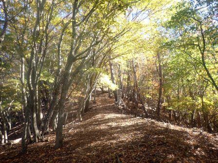 9:34　峠から山頂までは上り