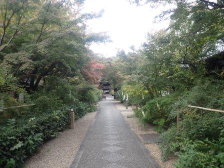 15:24　梨木神社参道