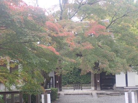 15:30　蘆山寺で特別展が開催されているようで、いつも閉まっている板戸が開けられていた