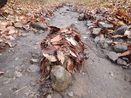 8:33　石に集められた落葉