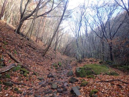 9:09　落葉を踏みしめ冬枯れの山道を行く