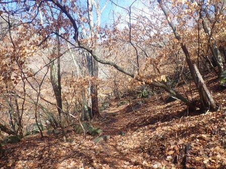 9:58　青空が出て来た