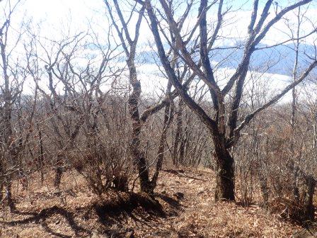 11:40　周回コースの尾根道で下山