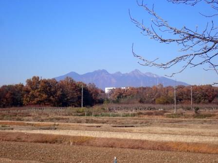 甲斐市にある「双葉農の駅」より、車中で目についたので立寄る、柚子を購入