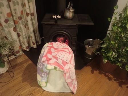 毛布を被って薪ストーブに当たるパン種、ホットサンドフライパンに銀杏と薬缶