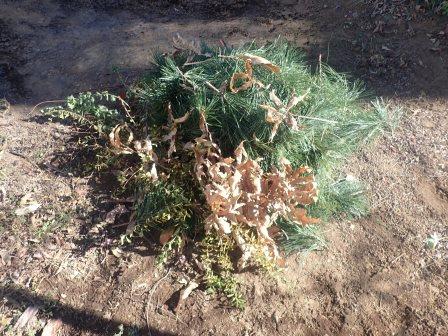 一度燃やしましたが、またかなり溜まりました、正月の焼芋用かな・・・