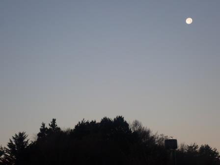朝6:55　日の出前、西の空に白月の満月