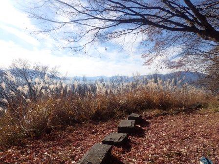 10:31　石の道の広場に枯れ薄