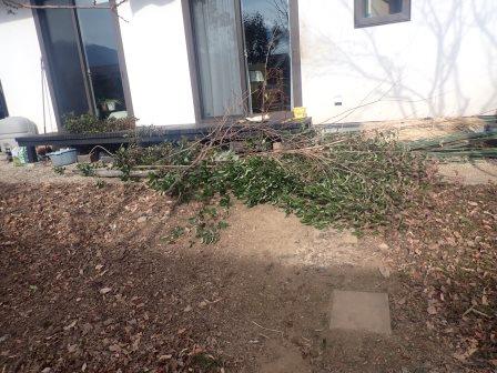 山法師、空木、ガマズミ、山椒の剪定枝